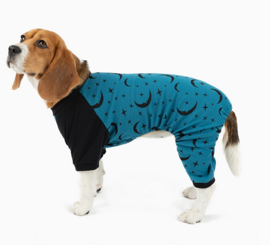 Doggie Moon