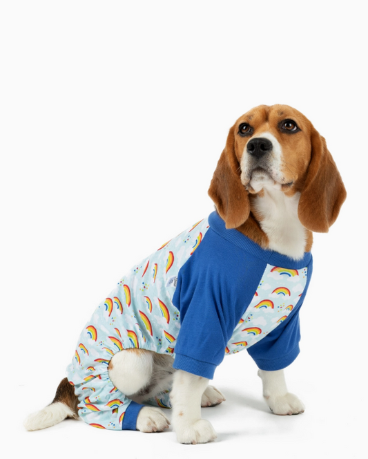 Doggie Rainbow